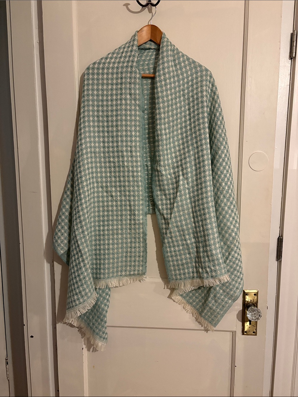 Light Aqua Patterned Scarf with Fringe -